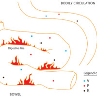 The Amazing Bowel Herb and the Flares of IC