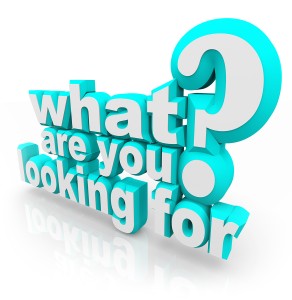 What Are You Looking For question asking your mission, goal, que