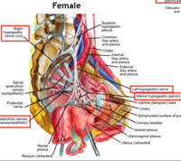 IC and Ways to Reduce Inflammation