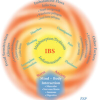 IC and IBS:  3 Fundamental Energy Science Steps