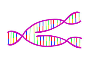 bigstockphoto_Dna_Replicating_4043091